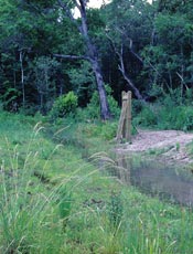 Rice field floodgate